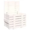 VidaXL Opbergbox 58x40,5x42 Cm Massief Grenenhout Wit